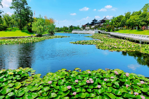 扬州夏天